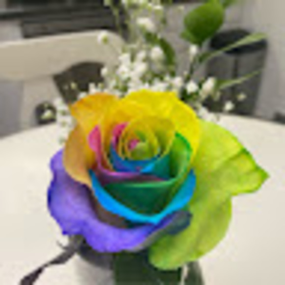 Meet your Posher, Glenda - Picture 1 of 1